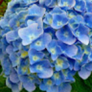 Meet your Posher, Kathleen